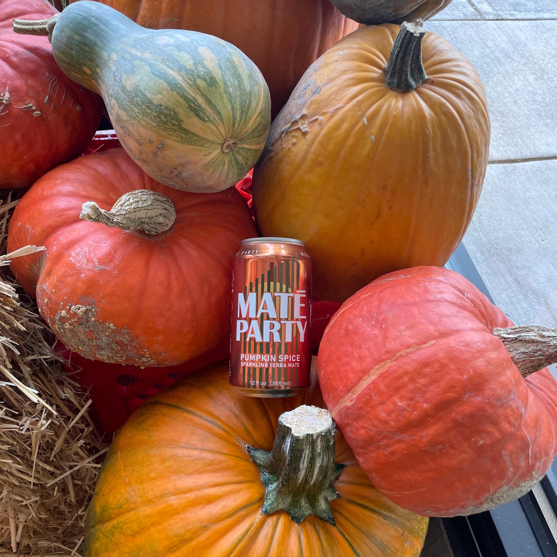 Assorted pumpkins with a can of Mate Party yerba mate on a straw bail